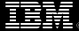 IBM Logo