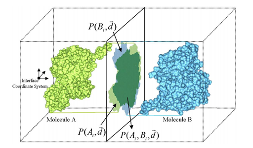 Computing and Displaying Intermolecular Negative Volume for Docking