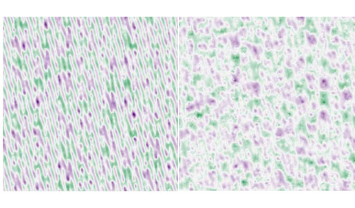 High-performance Computation and Visualization of Plasma Turbulence on Graphics Processors