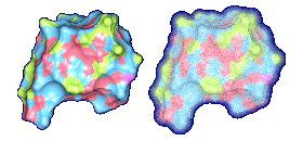 Molecular surfaces of HIV Protease with probe radius 5.0