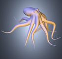 Octopus Viewpoint guided by saliency