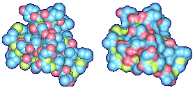 Molecular Surfaces