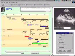 A one screen summary of the entire patient record