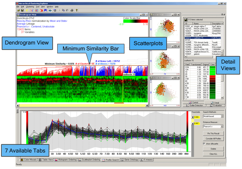 Hierarchical Clustering Explorer