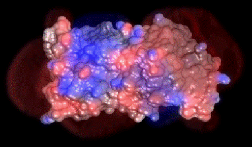 Efficient Solution of Poisson-Boltzmann Equation for Electrostatics of Large Molecules