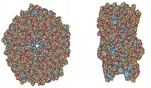 Real-Time Visualization of Large Time-Varying Molecules