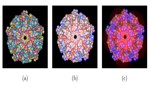 Geometry-guided Computation of 3D Electrostatics for Large Biomolecules