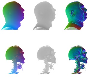 Accelerated Volume Rendering with Volume Guided Neural Denoising