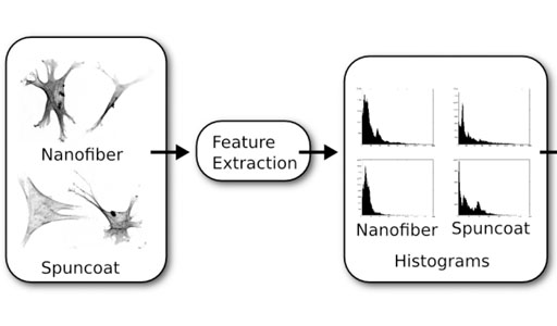 Parallel Geometric Classification of Stem Cells by their 3D Morphology