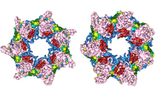 Saliency Guided Summarization of Molecular Dynamics Simulations