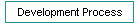 Development Process