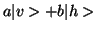 $ a \vert v> + b \vert h>$