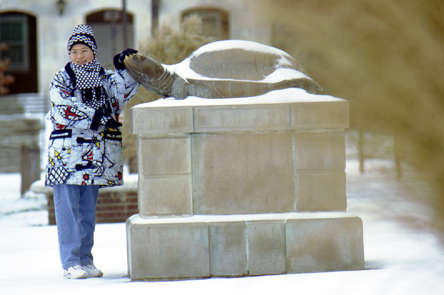 UMD Image 2