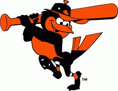 oriole bird