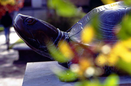 UMD Image 2