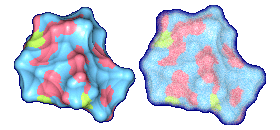 Molecular surfaces of Crambin with probe radius 5.0
