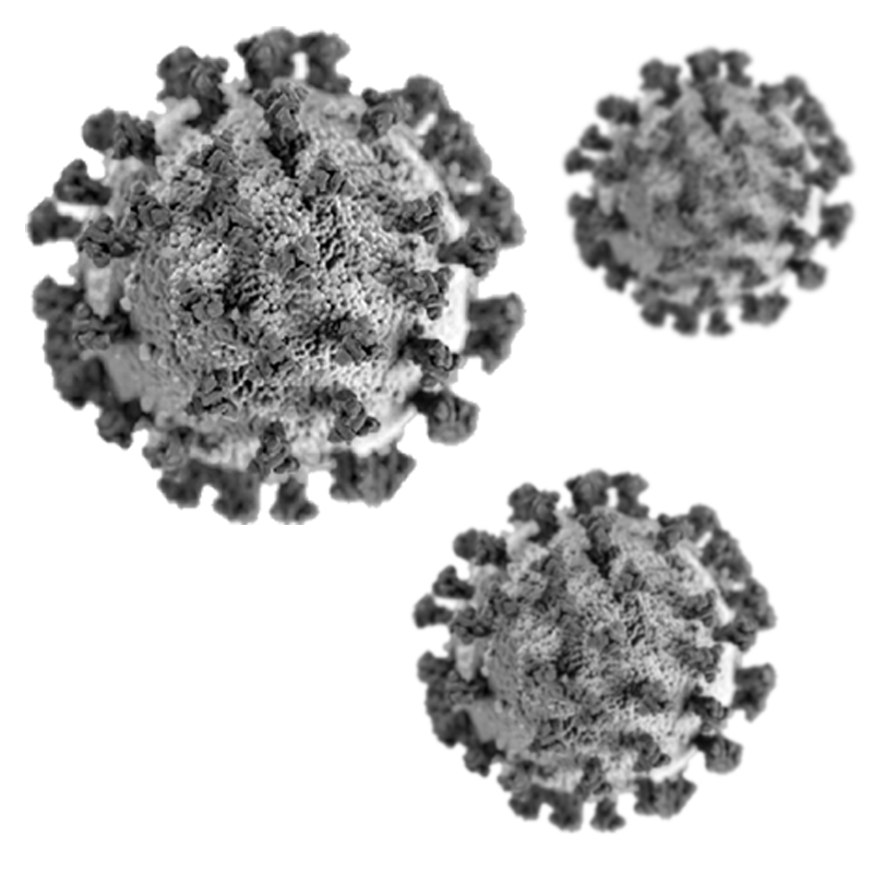 placeholder image of covid-19 virus