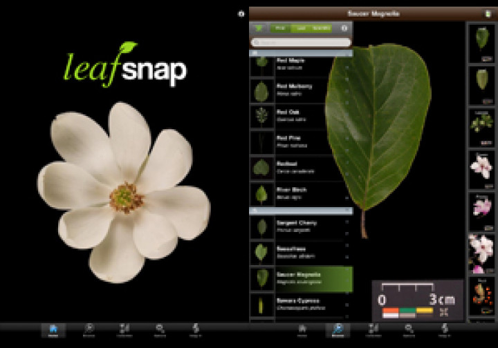 LeafSnap app screensho