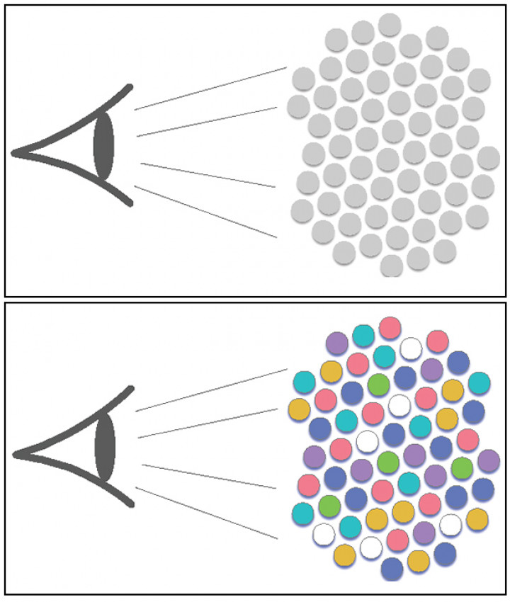 Descriptive Image for Moving Matters: Ethnocentric Behavior Decreases When Societal Mobility Rises