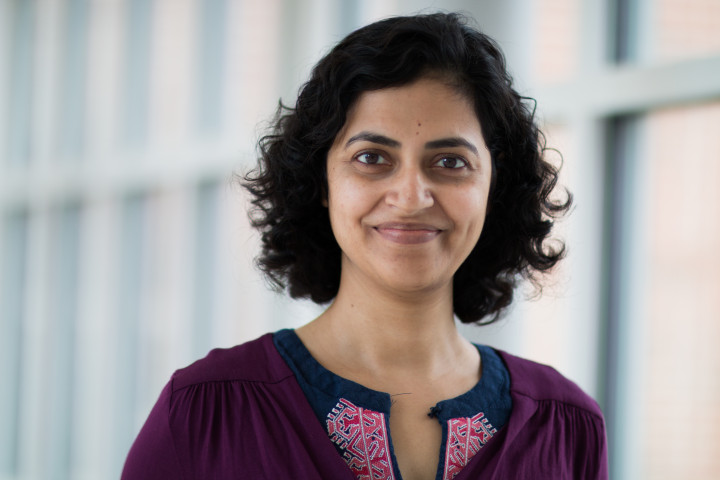 Descriptive image for Alumna Barna Saha awarded NSF Career Award