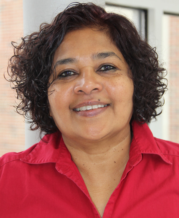 Descriptive image for Affiliate Professor Louiqa Raschid Is Named an IEEE Fellow