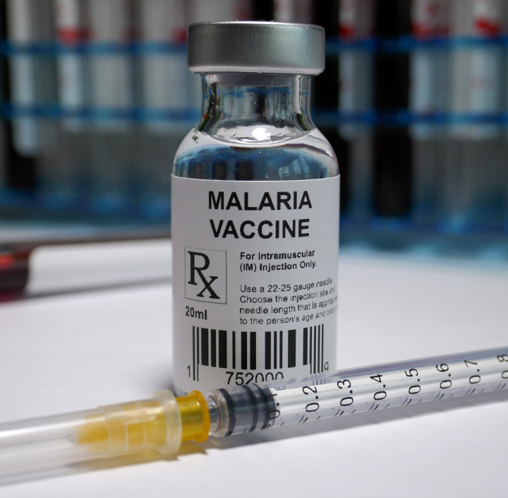 Descriptive image for Cummings Awarded NIH Grant to Inform Malaria Vaccine Design