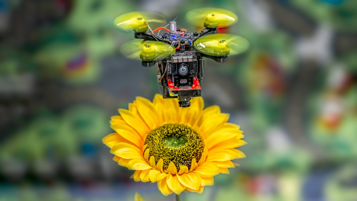 Descriptive image for UMD Alum Chahat Deep Singh Creates Tiny Drones Inspired by Small Animals