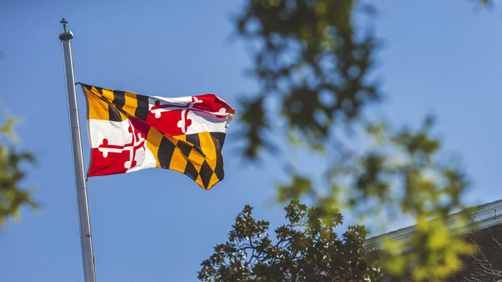 Descriptive image for 2 Science Terp Faculty Members Named MPower Professors
