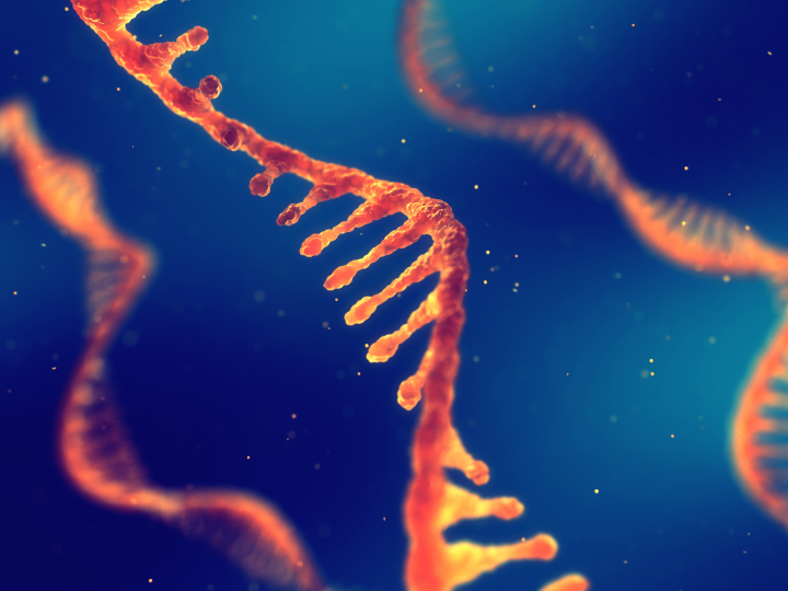 Descriptive image for Developing Advanced Tools to Improve Accuracy and Accessibility for Long-Read RNA Sequencing