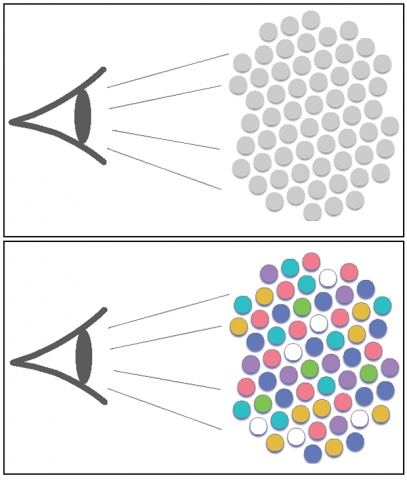 Descriptive Image for Moving Matters: Ethnocentric Behavior Decreases When Societal Mobility Rises (17251)