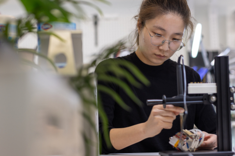 Descriptive Image (27989)