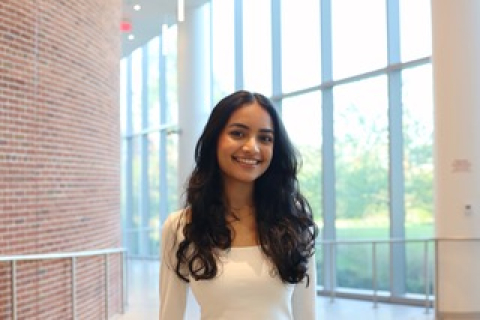 Descriptive Image (27706)