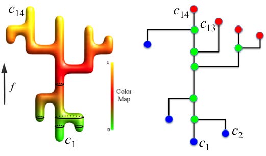 contour tree