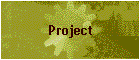 Project