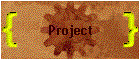 Project