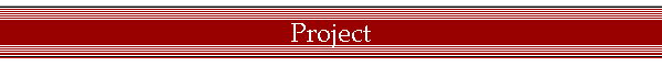 Project