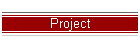 Project