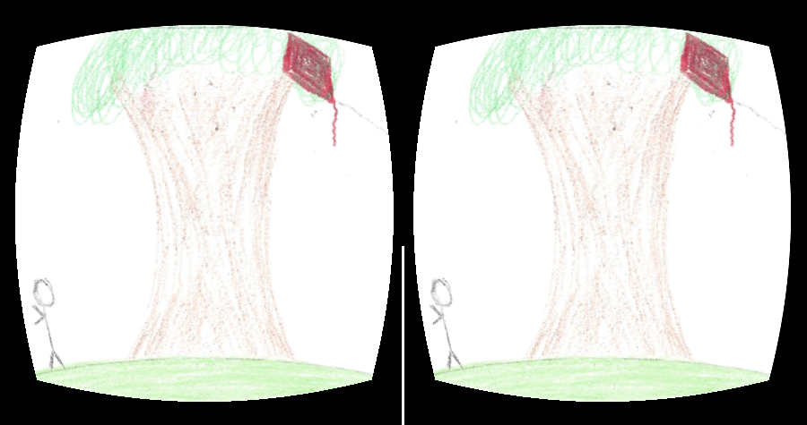 dual lens view in VR