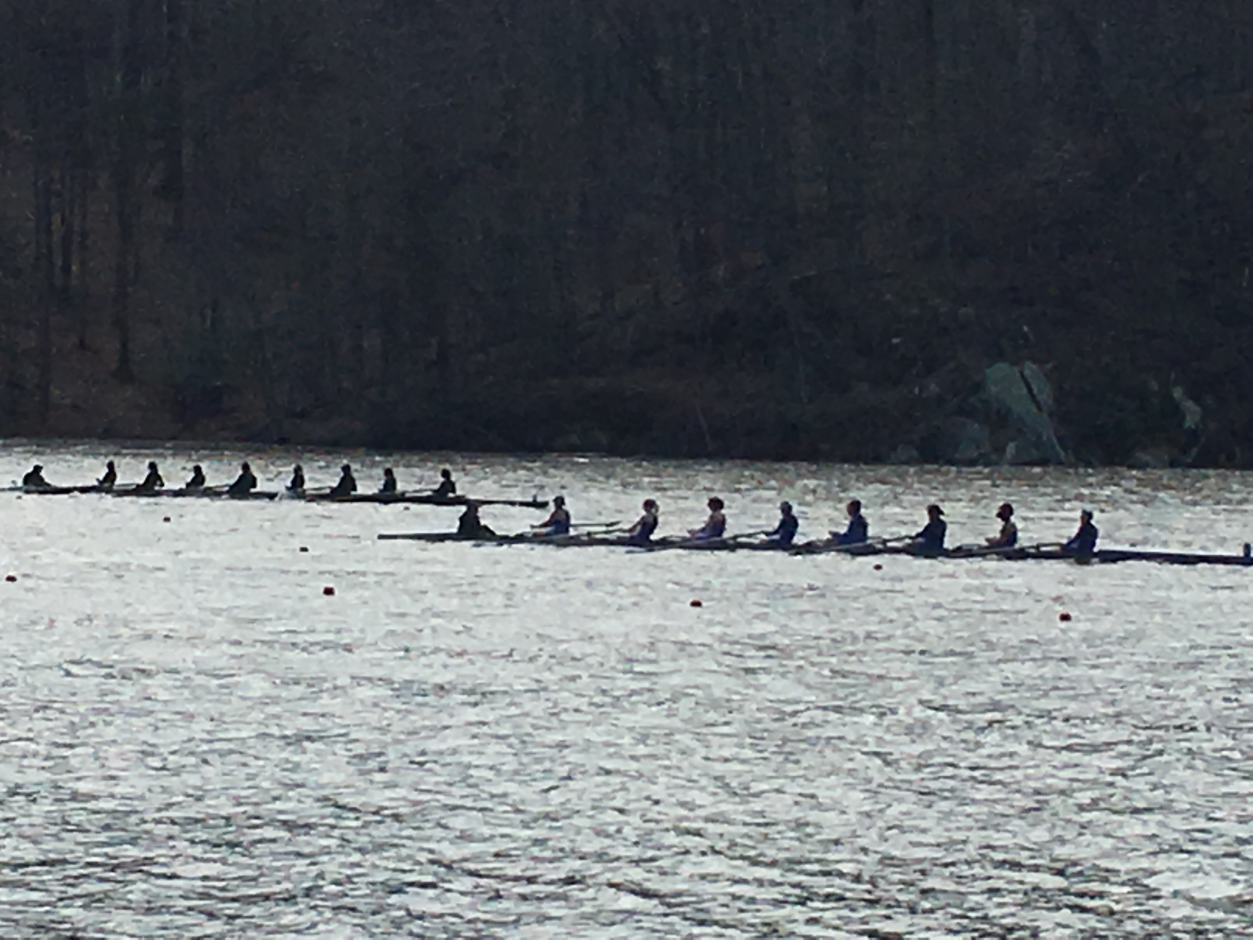 iPhone photo of rowers