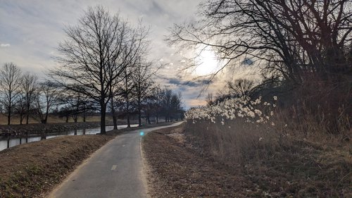 Photo 5: Anacostia Tributary Trail System, College Park, MD, USA
