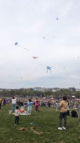 Photo 15: Kite Festival, Washington DC, USA