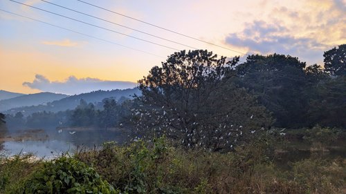 Photo 10: Royal Classic Resort, Kandy, Sri Lanka