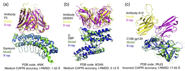 Benchmarking AlphaFold for protein complex modeling reveals accuracy determinants